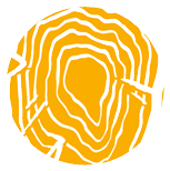 DT