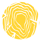 DT